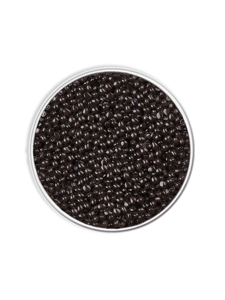 Rova Caviar - Osciètre Royal