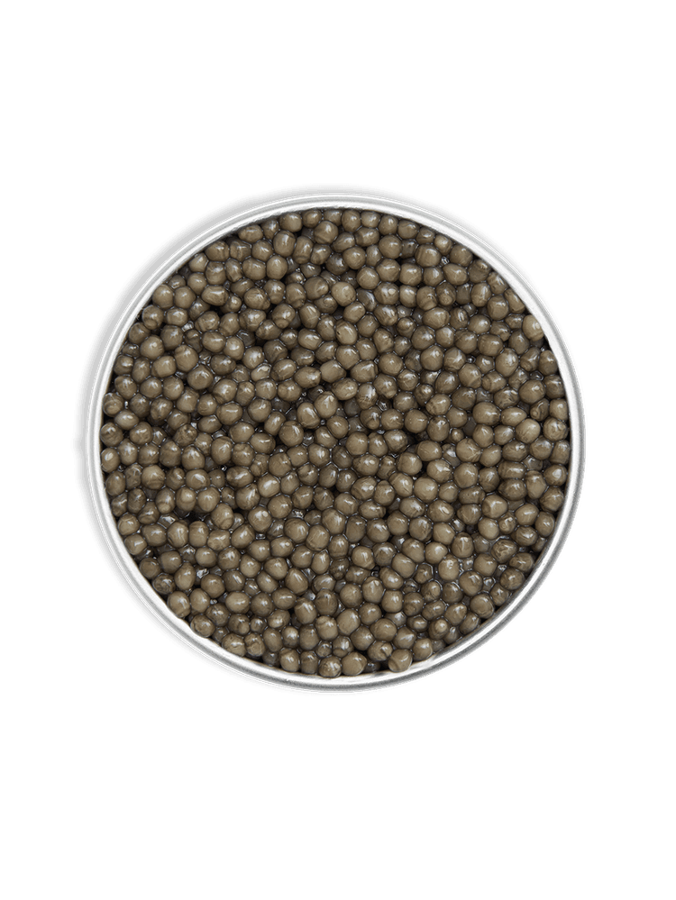 Rova Caviar - Osciètre Suprême