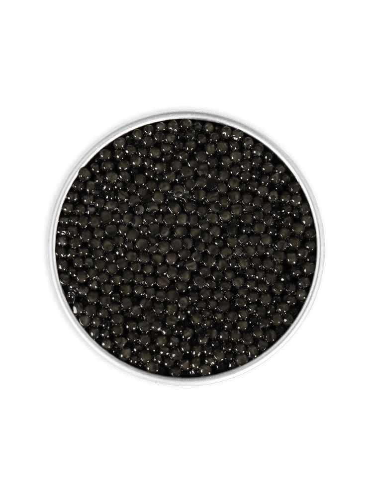 Rova Caviar - Persicus Impérial