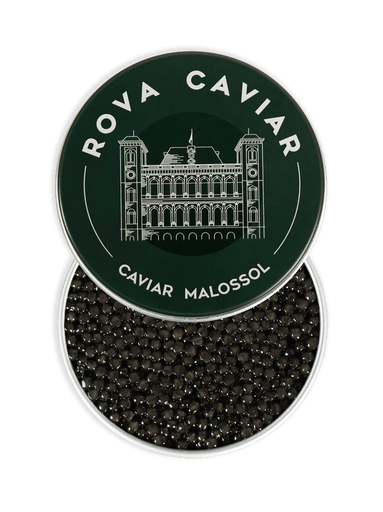 Boîte de caviar Shipova ouverte sur fond naturel d'eucalyptus avec couvercle