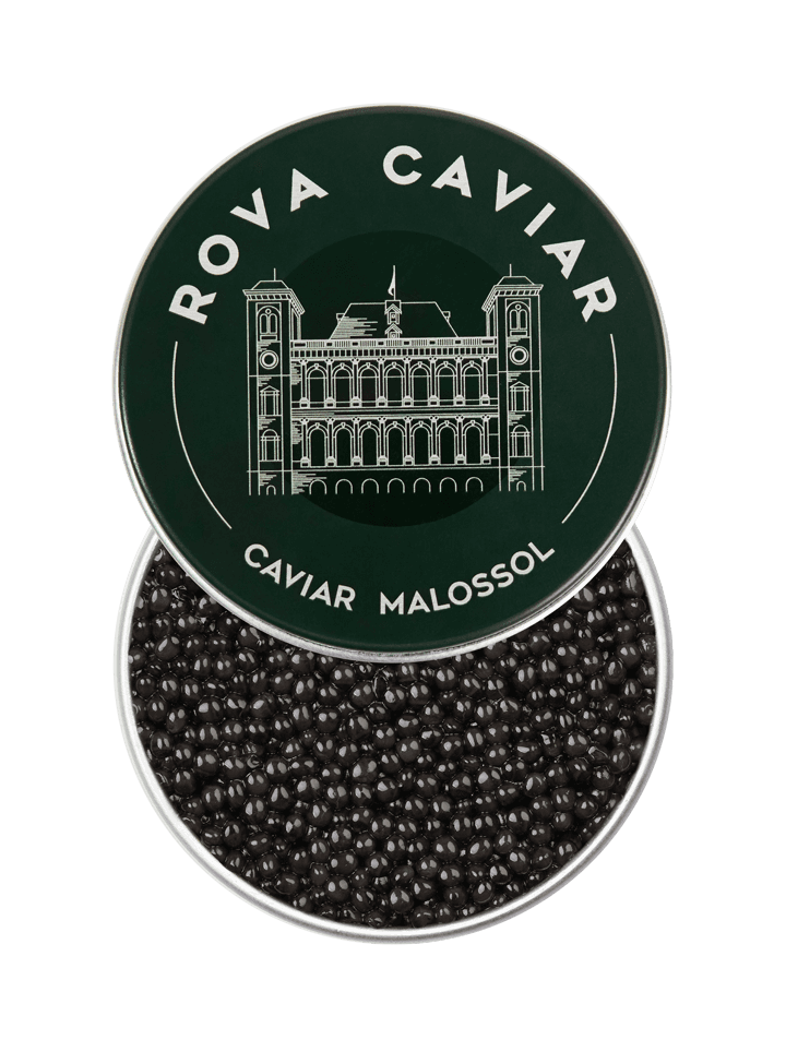 Boîte de caviar Shipova ouverte sur fond naturel d'eucalyptus avec couvercle