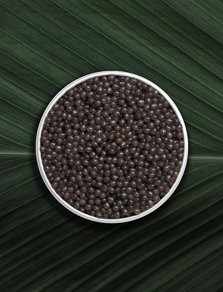 Boîte de caviar Osciètre Impérial sur fond naturel