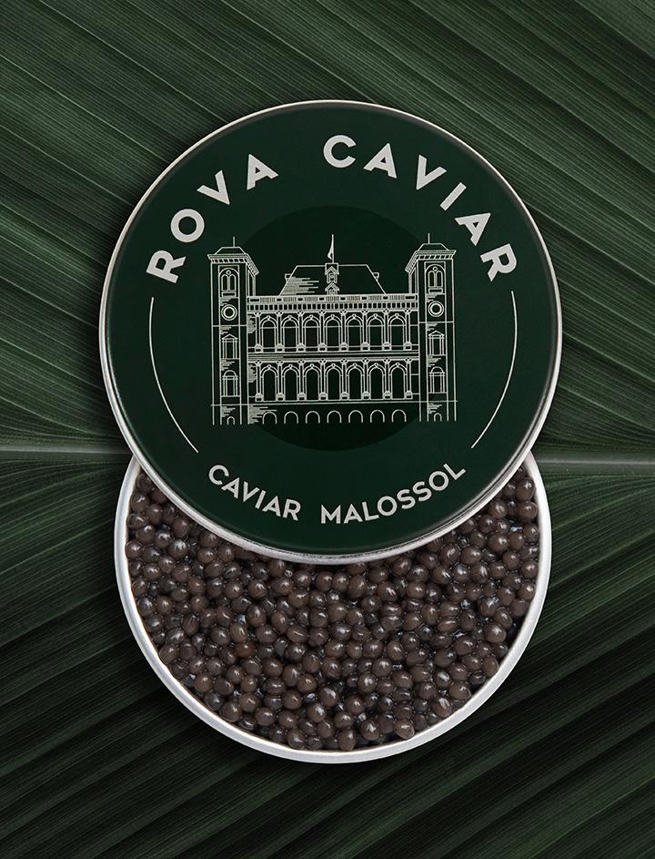 Boîte semi-ouverte de caviar Osciètre Impérial sur fond naturel