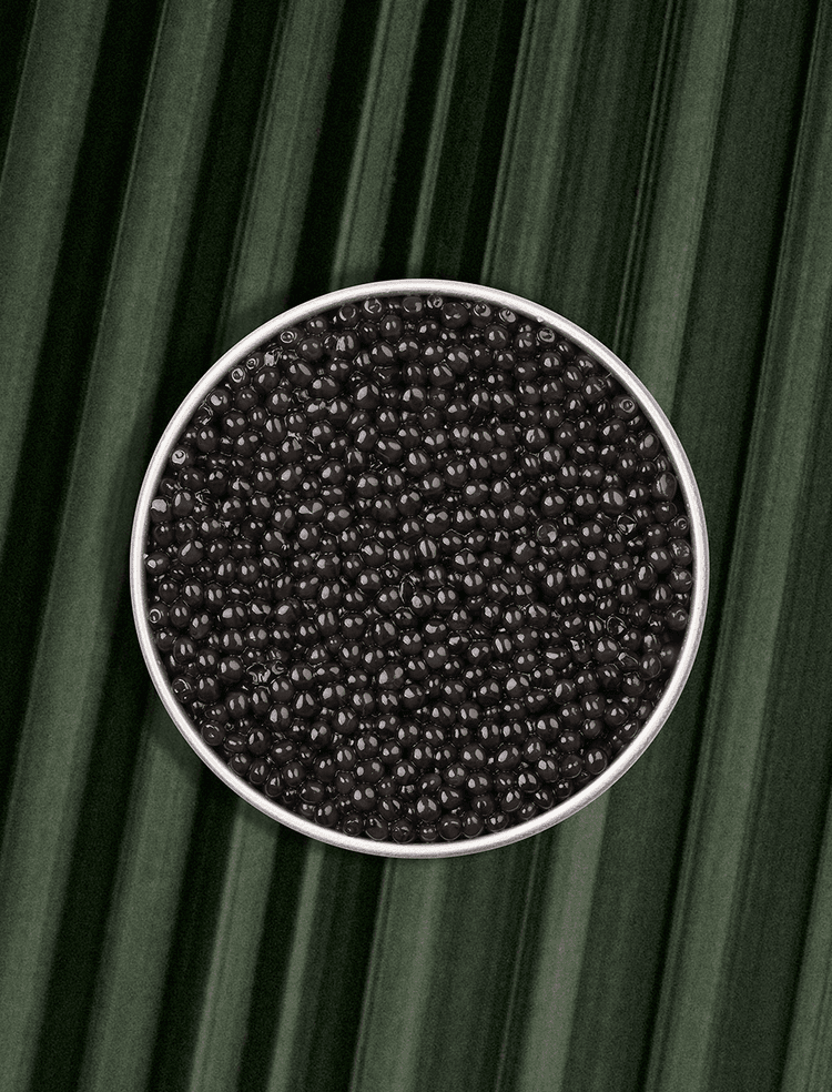 Boîte ouverte de caviar Osciètre Persicus sur fond naturel 