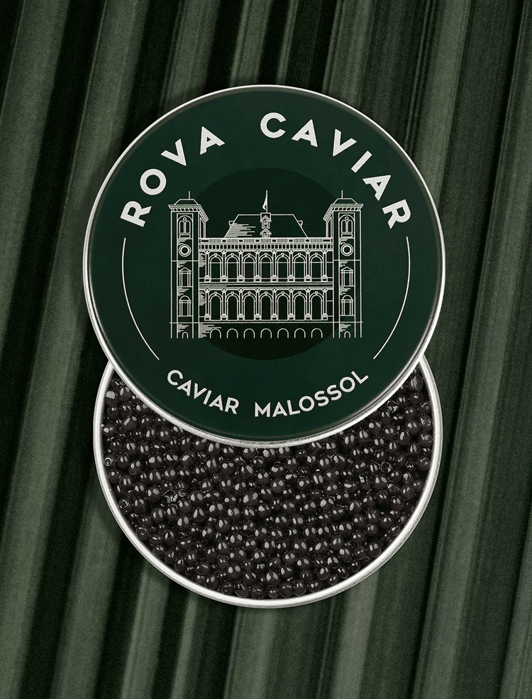 Boîte de caviar Osciètre Persicus ouverte sur fond naturel avec couvercle