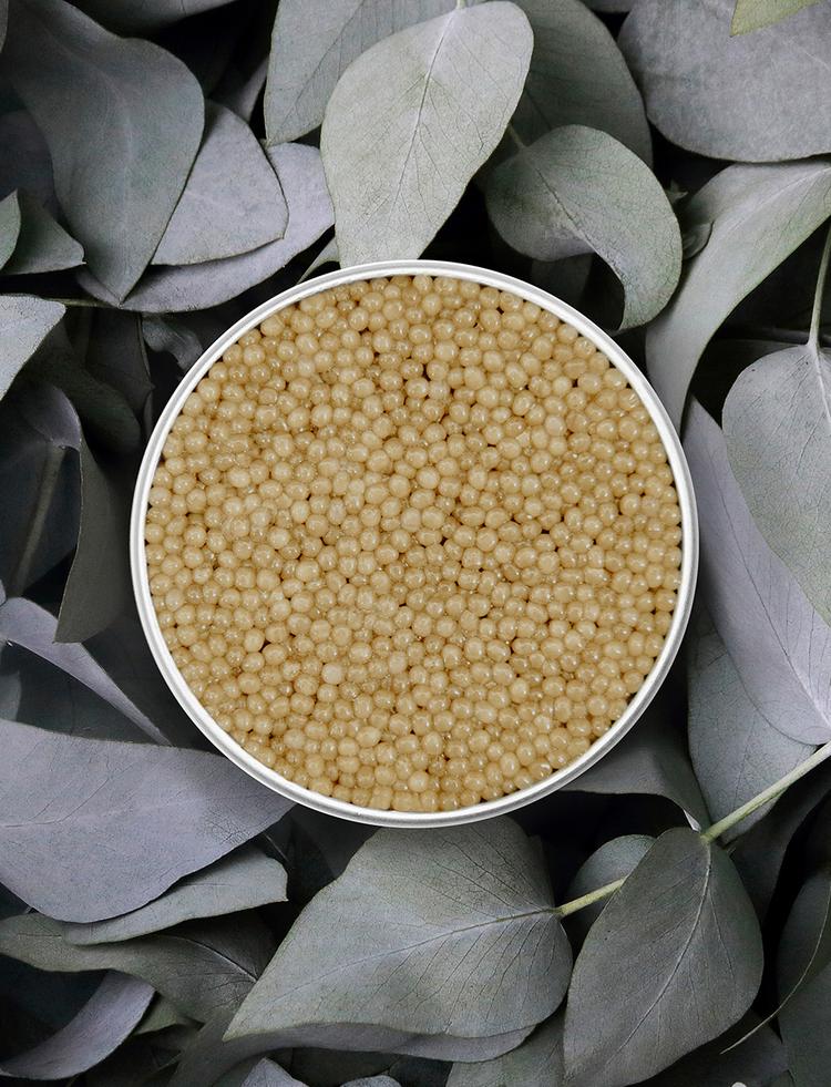 Boîte ouverte de caviar Shipova Royal sur fond naturel