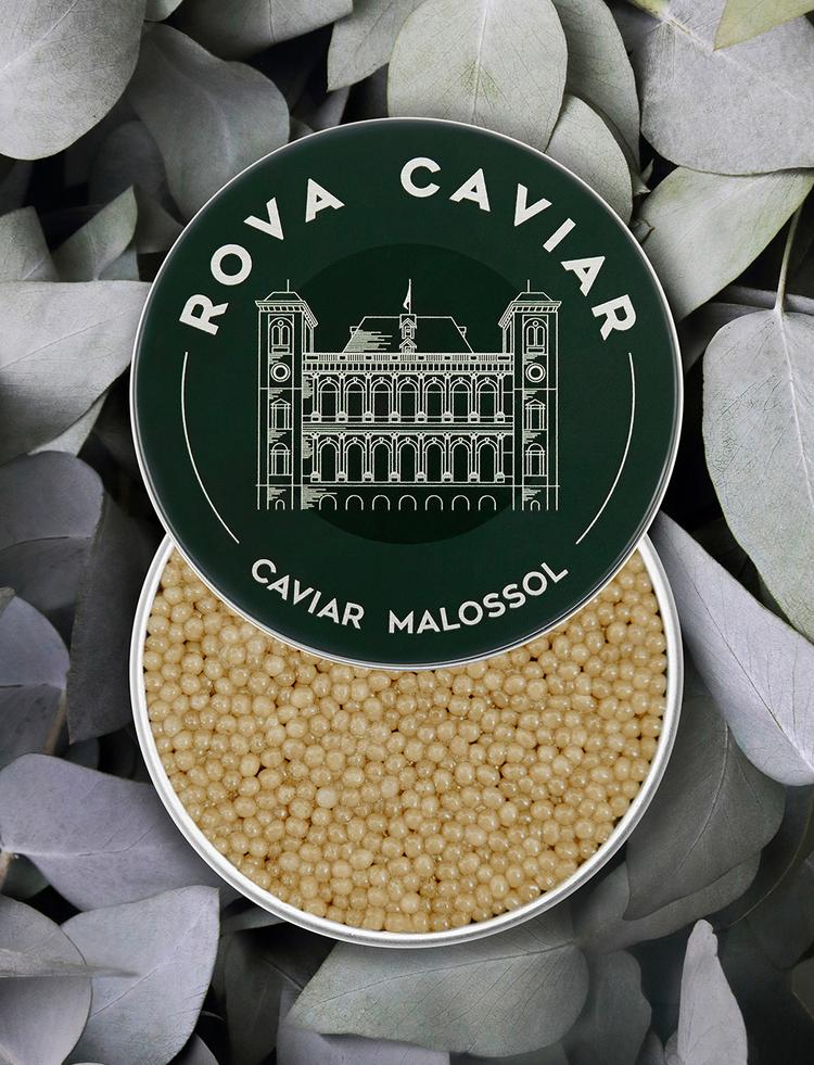 Boîte semi ouverte de caviar Shipova Royal sur fond naturel
