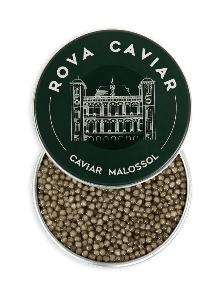 Boîte de caviar Shipova ouverte sur fond naturel d'eucalyptus avec couvercle