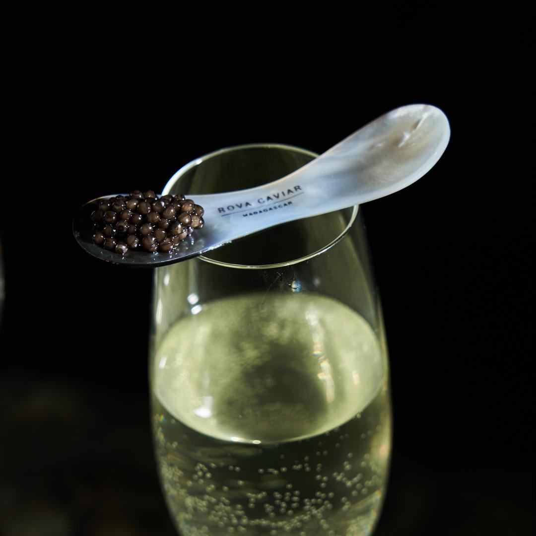 Recette de crevettes de Madagascar croustillantes et caviar sur crème