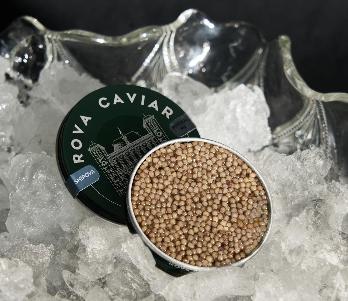 Service de sauce au caviar Shipova sur une pièce de thon rouge