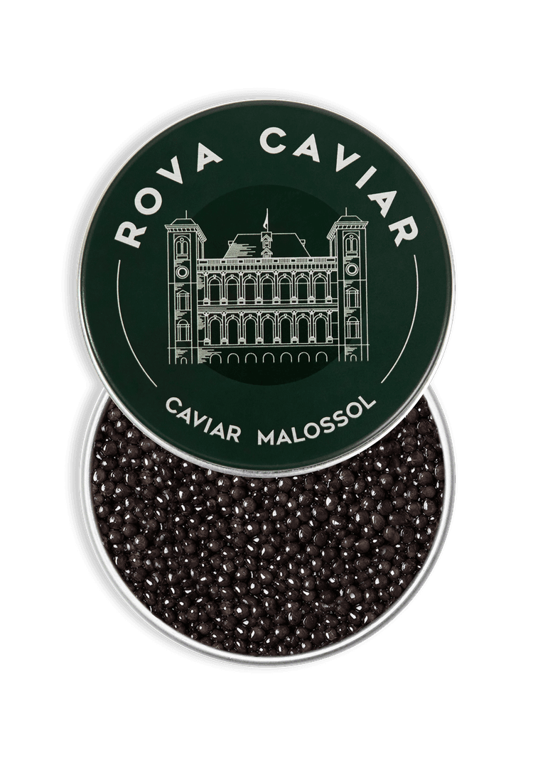 Boîte ouverte avec couvercle de Baeri Impérial sur fond naturel