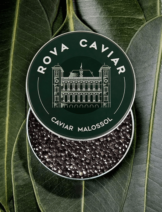 Boîte semi ouverte de caviar Baeri Royal  sur fond naturel 