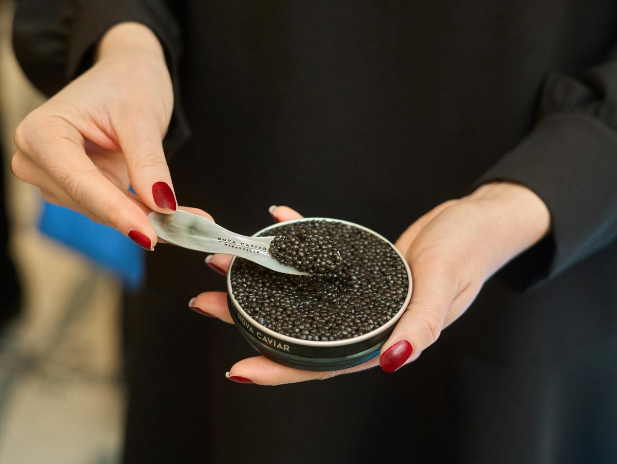 Dégustation élégante de boîte de caviar Rova 