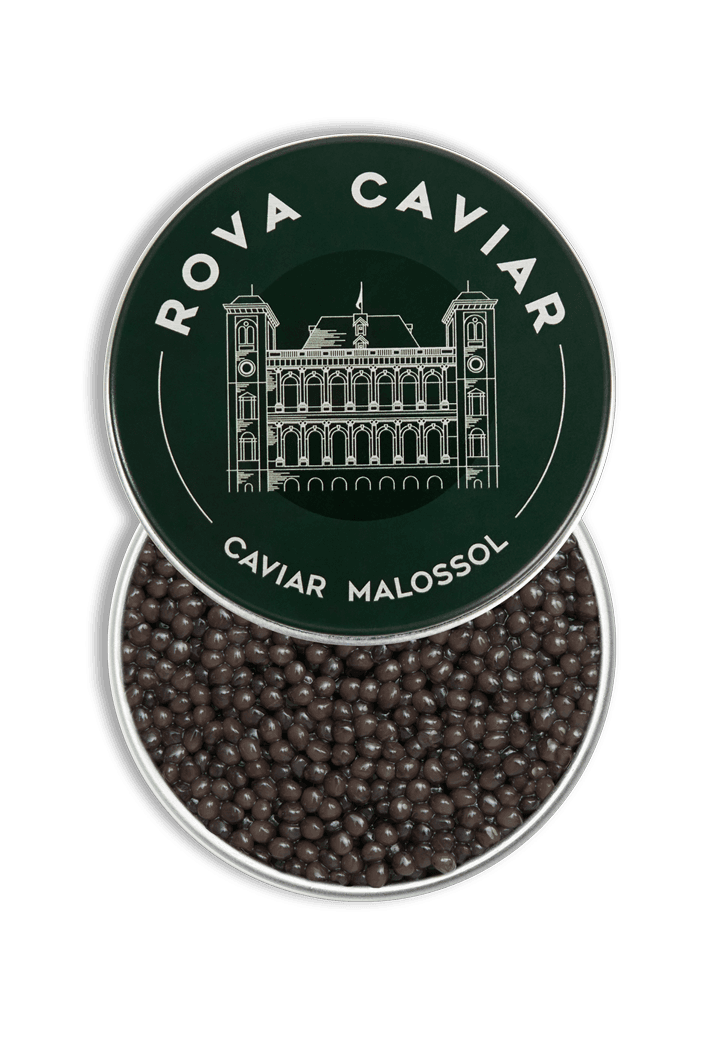 Boîte semi-ouverte de caviar Osciètre Impérial sur fond naturel