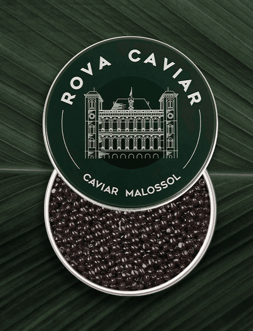 Boîte de caviar Osciètre Royal ouverte sur fond naturel