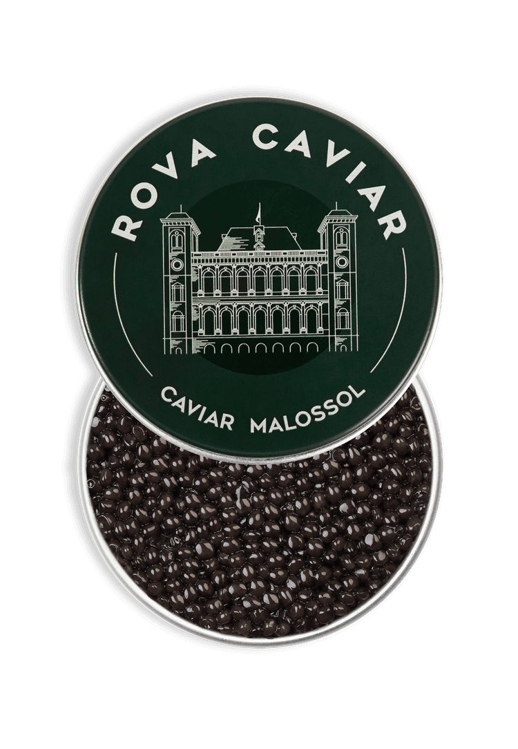 Boîte de caviar Osciètre Royal ouverte sur fond naturel