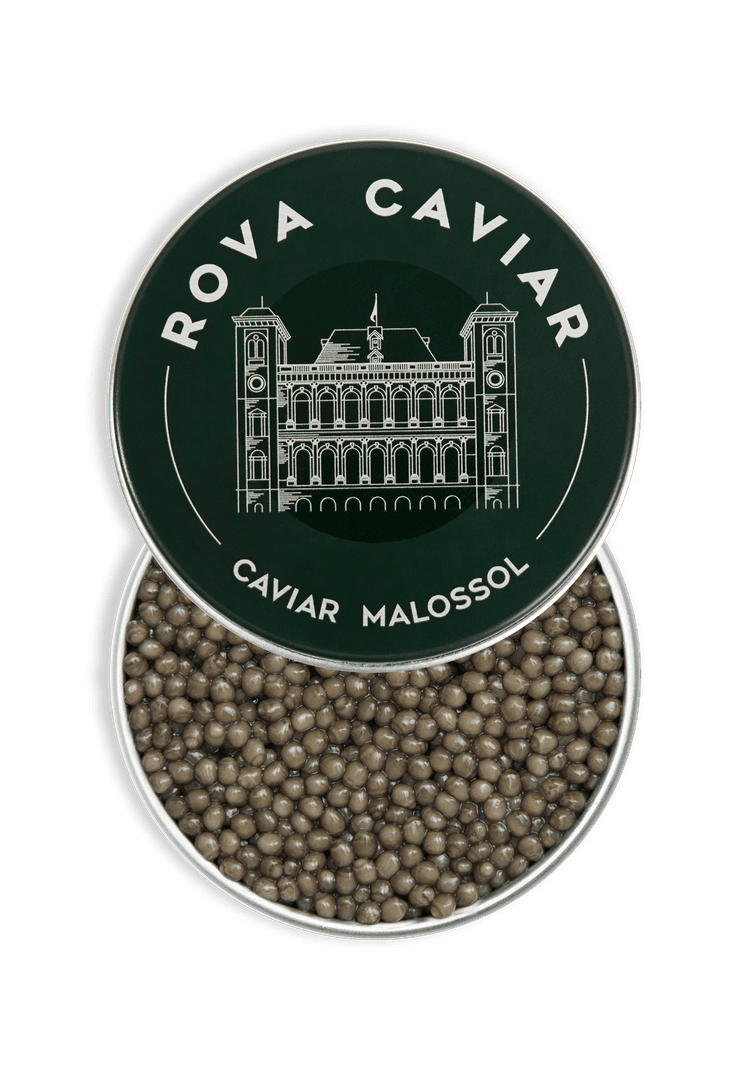 Boîte de caviar Osciètre Supreme ouverte avec couvercle sur fond naturel