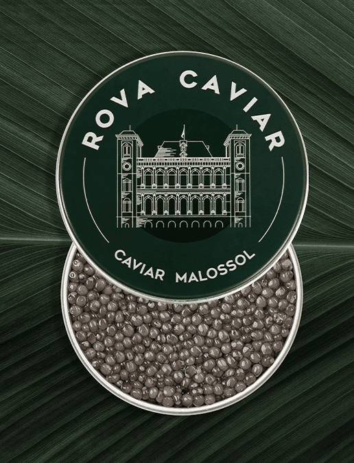 Boîte de caviar Osciètre Supreme ouverte avec couvercle sur fond naturel