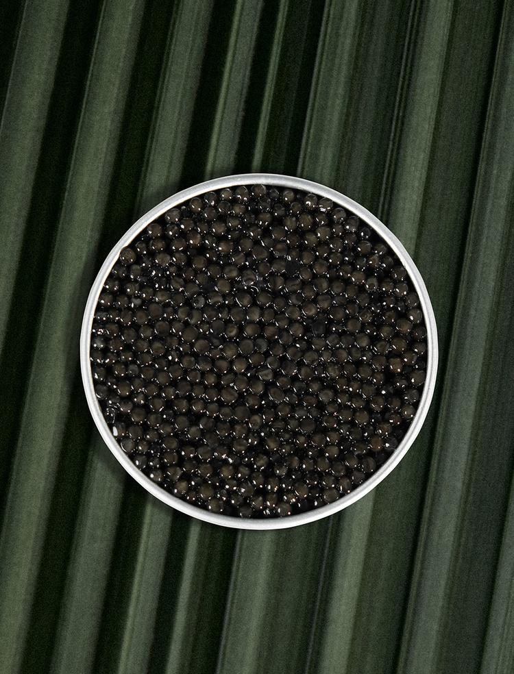 Boîte ouverte de caviar Osciètre Persicus sur fond naturel 