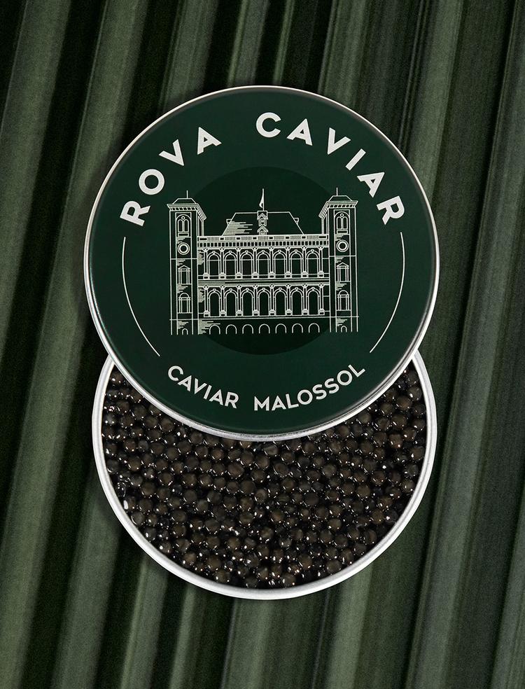 Boîte semi ouverte de caviar Osciètre Persicus sur fond naturel 