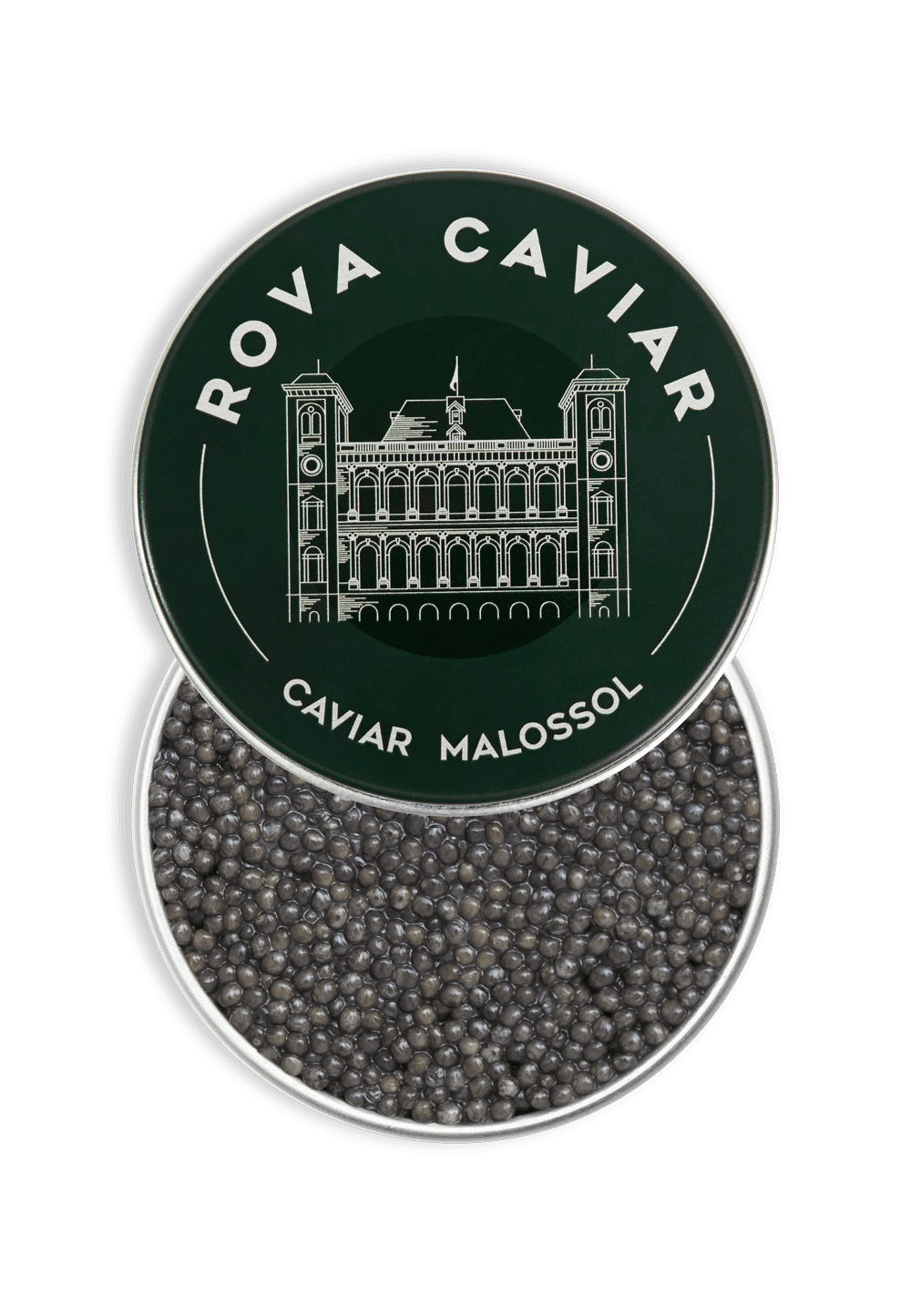 Sévruga Royal - Rova Caviar