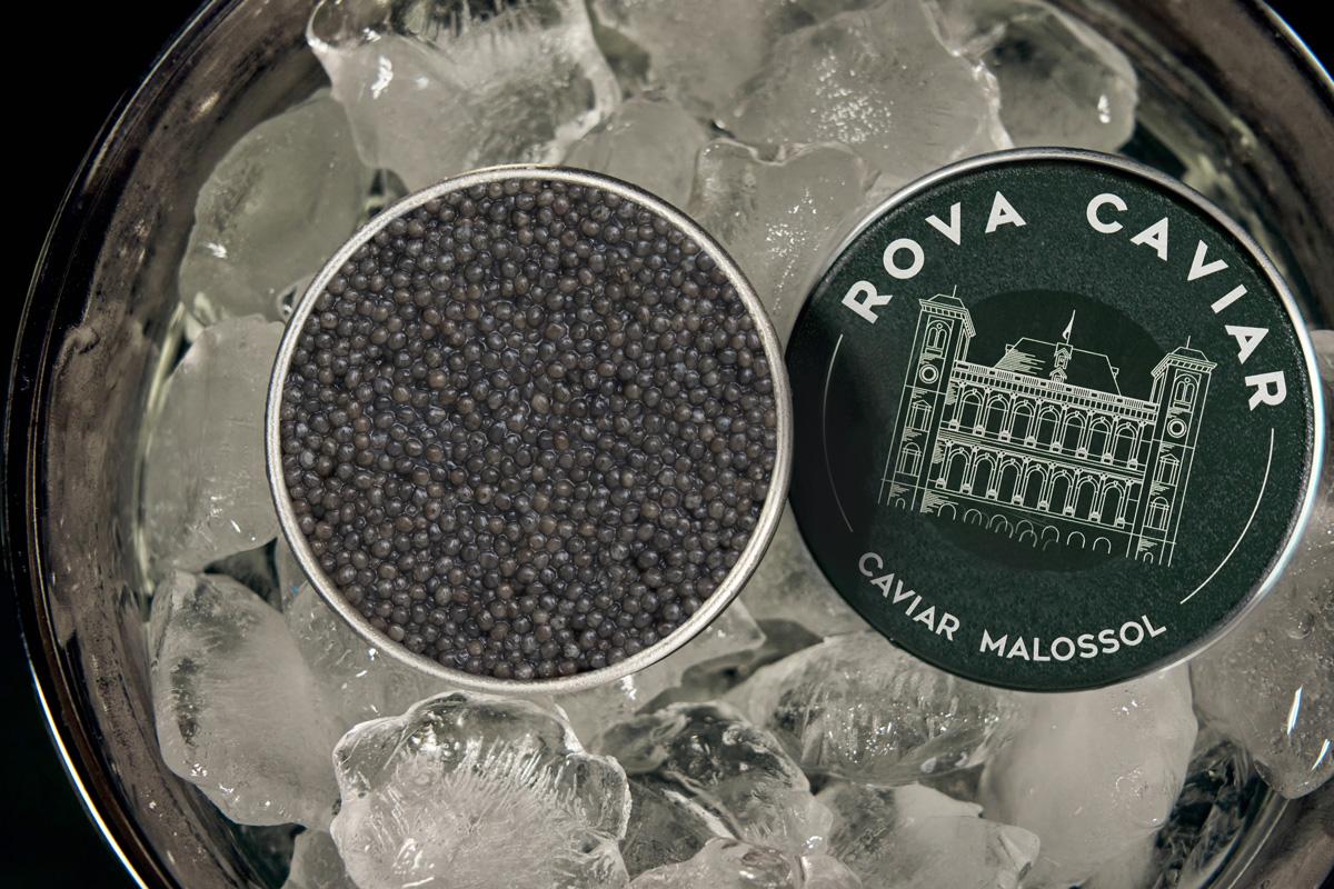 Boîtes de caviars ouvertes de Persicus et Shipova