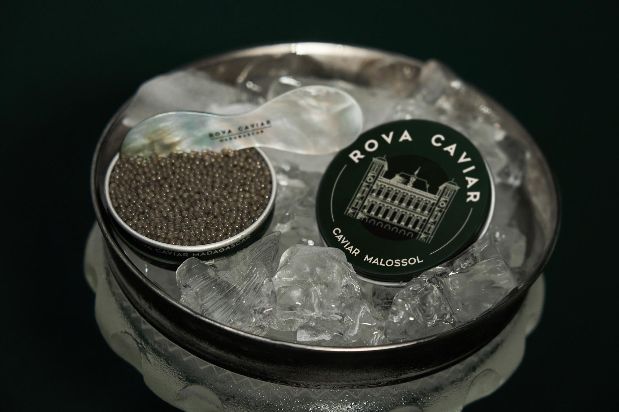 Boîte de caviar Shipova ouverte avec couvercle et cuillère de dégustation