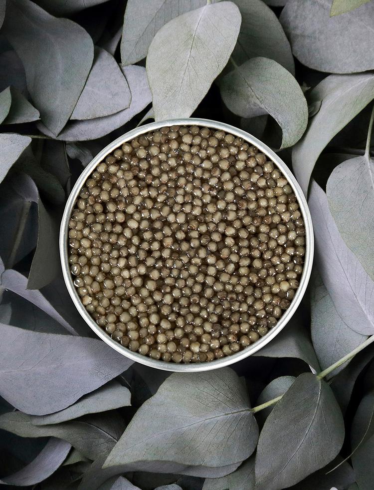 Boîte ouverte de caviar Shipova Royal sur fond naturel