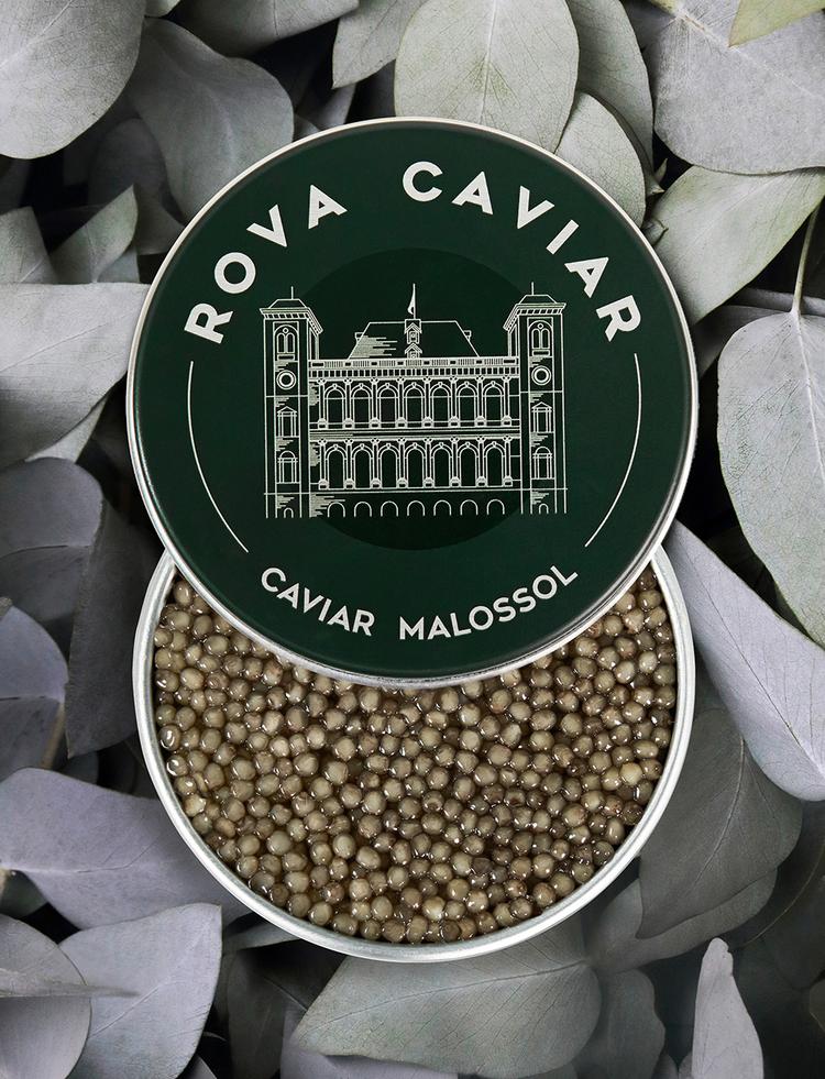 Boîte semi ouverte de caviar Shipova Royal sur fond naturel