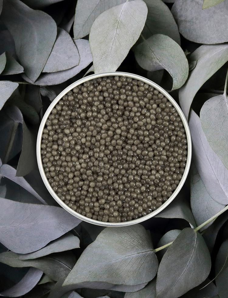 Boîte ouverte de caviar Shipova Royal sur fond naturel