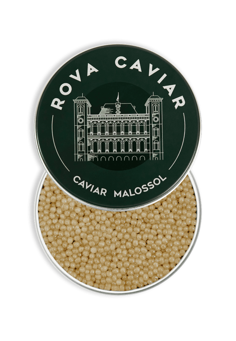 Boîte de caviar Shipova ouverte sur fond naturel d'eucalyptus avec couvercle