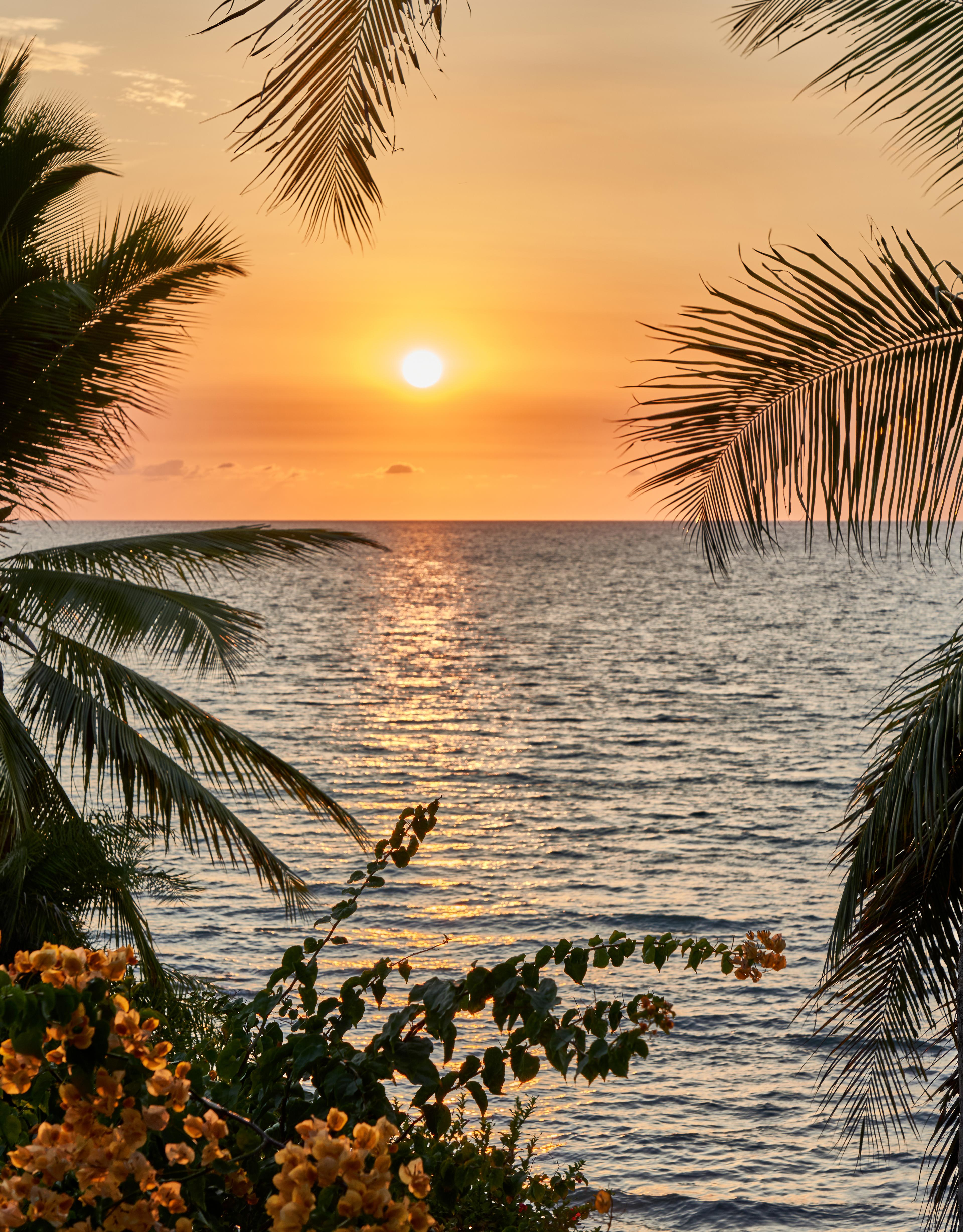 Boîtes de caviars ouvertes de Persicus et Shipova