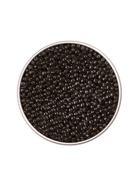 Boîte ouverte de caviar Baeri Royal  sur fond naturel 