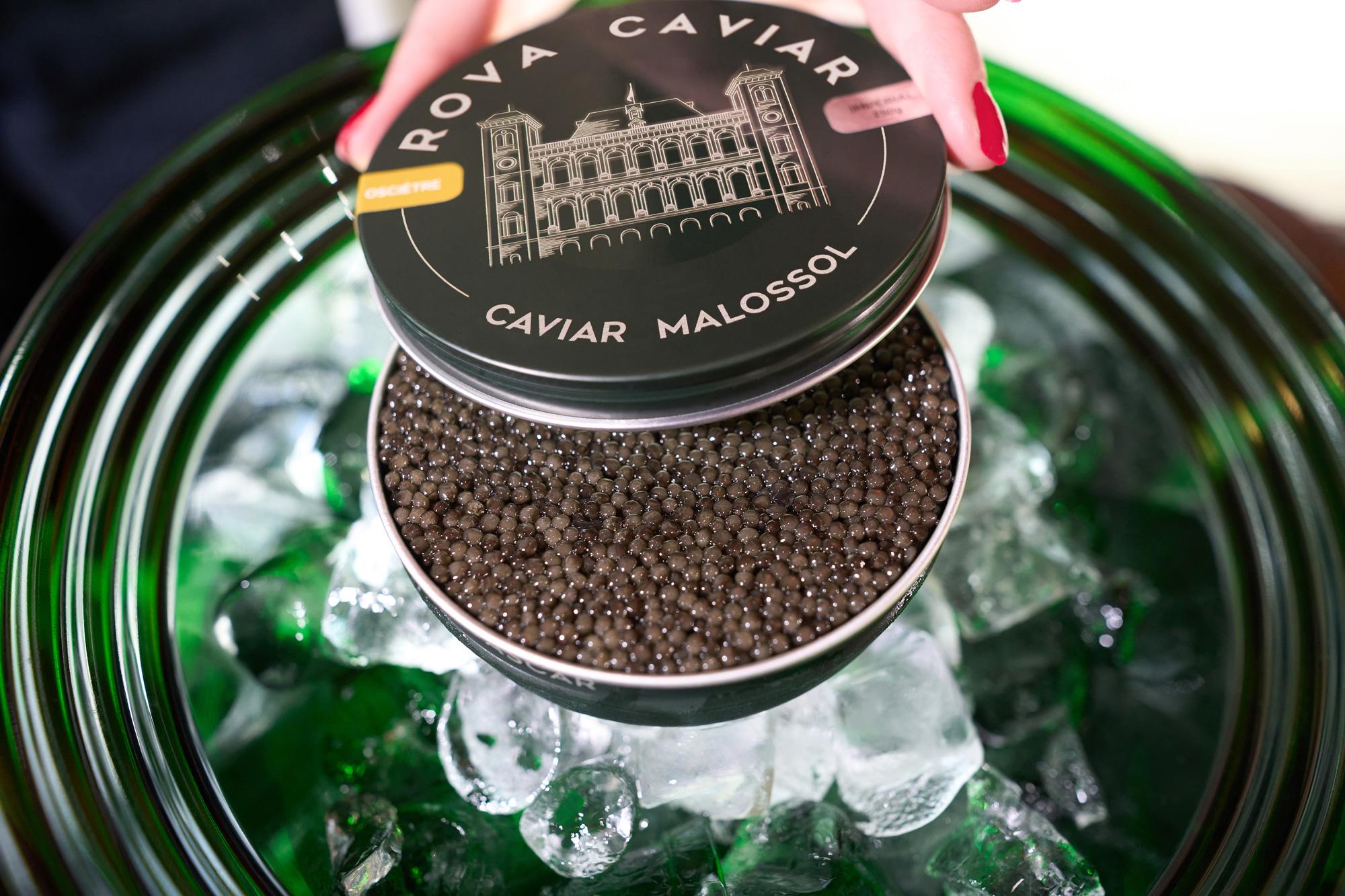 <strong>Caviar Osciètre</strong> : Un Caviar d’Exception