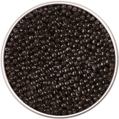 Packshot de boîte de caviar Baeri Royal