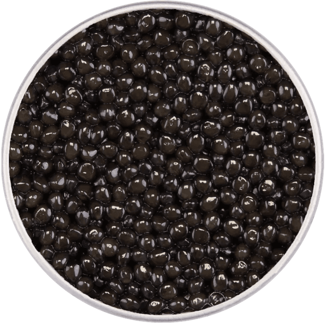 Packshot de boîte de caviar Osciètre Supreme