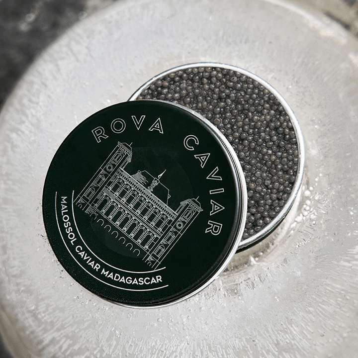 Service de sauce au caviar Shipova sur une pièce de thon rouge