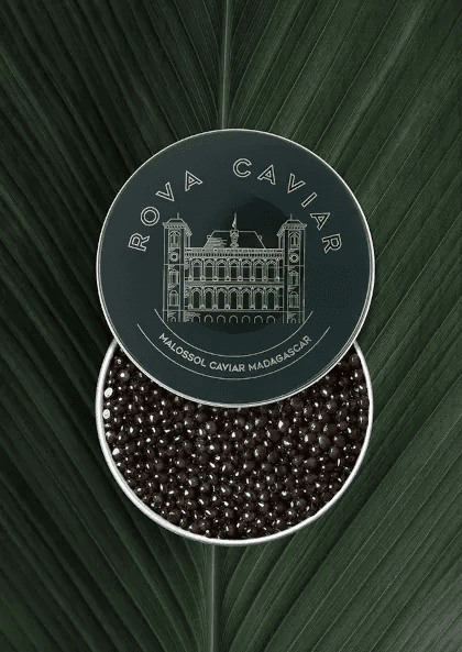 Boîte semi ouverte de caviar Osciètre sur fond naturel