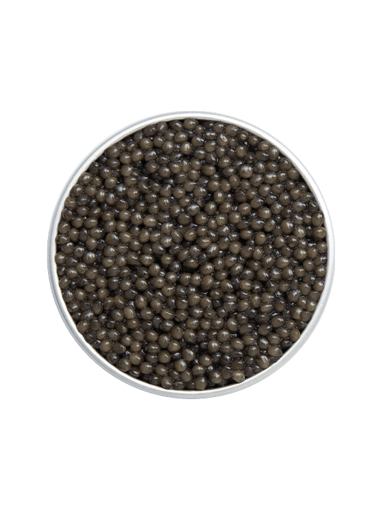 Boîte de caviar Osciètre Impérial sur fond naturel