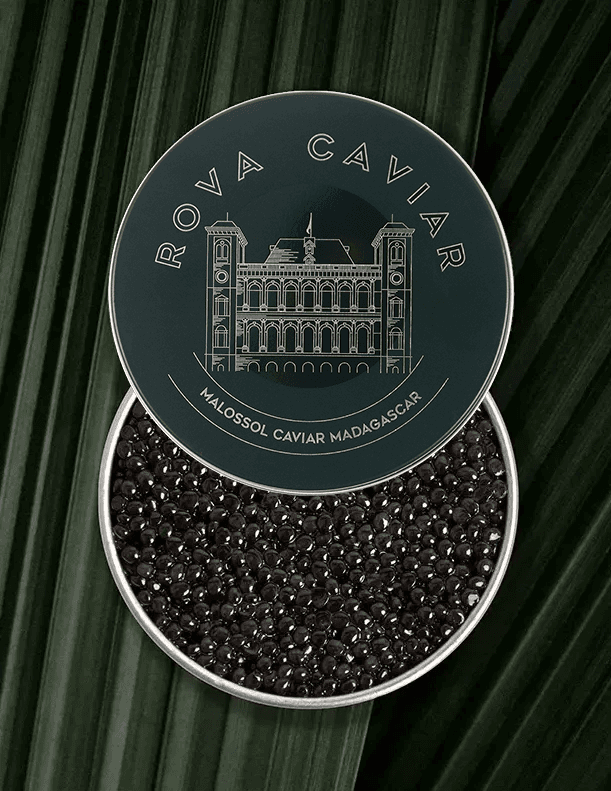 Boîte semi ouverte de caviar Osciètre Persicus sur fond naturel