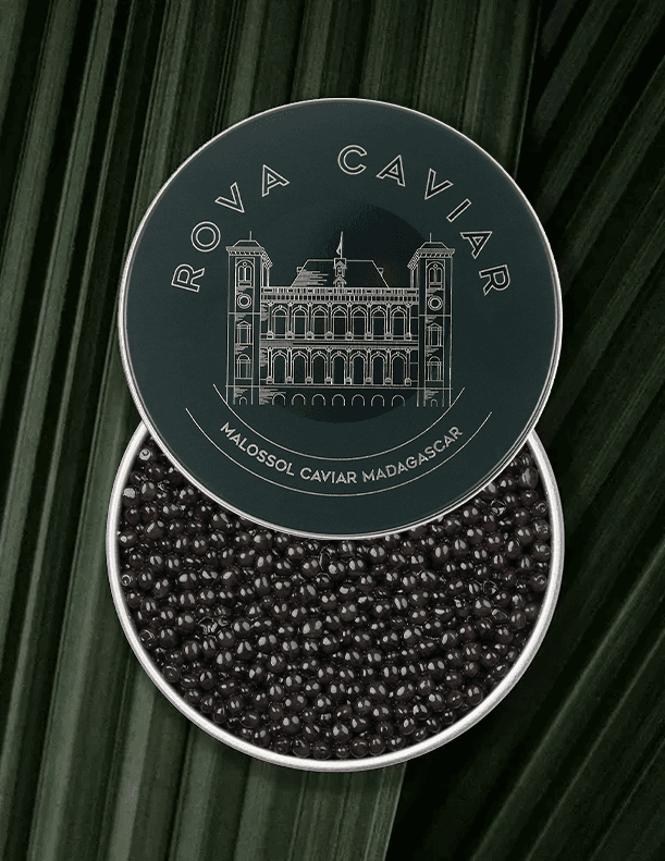 Boîte de caviar Osciètre Persicus ouverte sur fond naturel avec couvercle