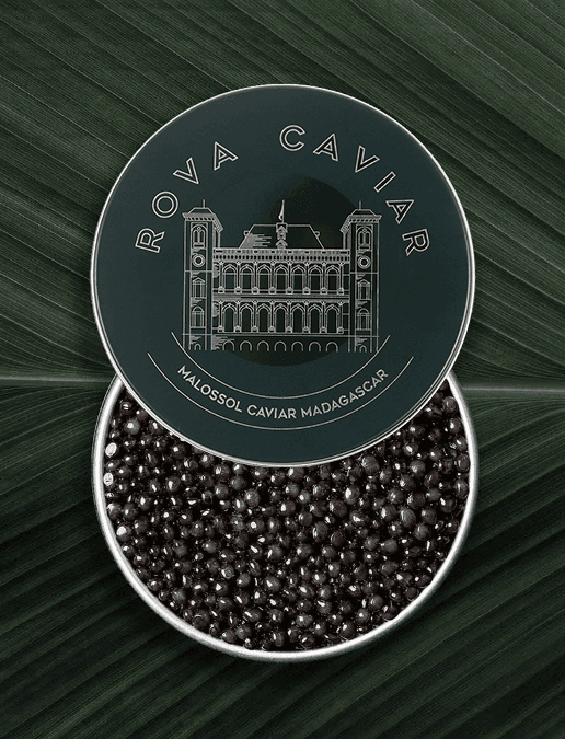 Boîte semi ouverte de caviar Osciètre Royal sur fond naturel