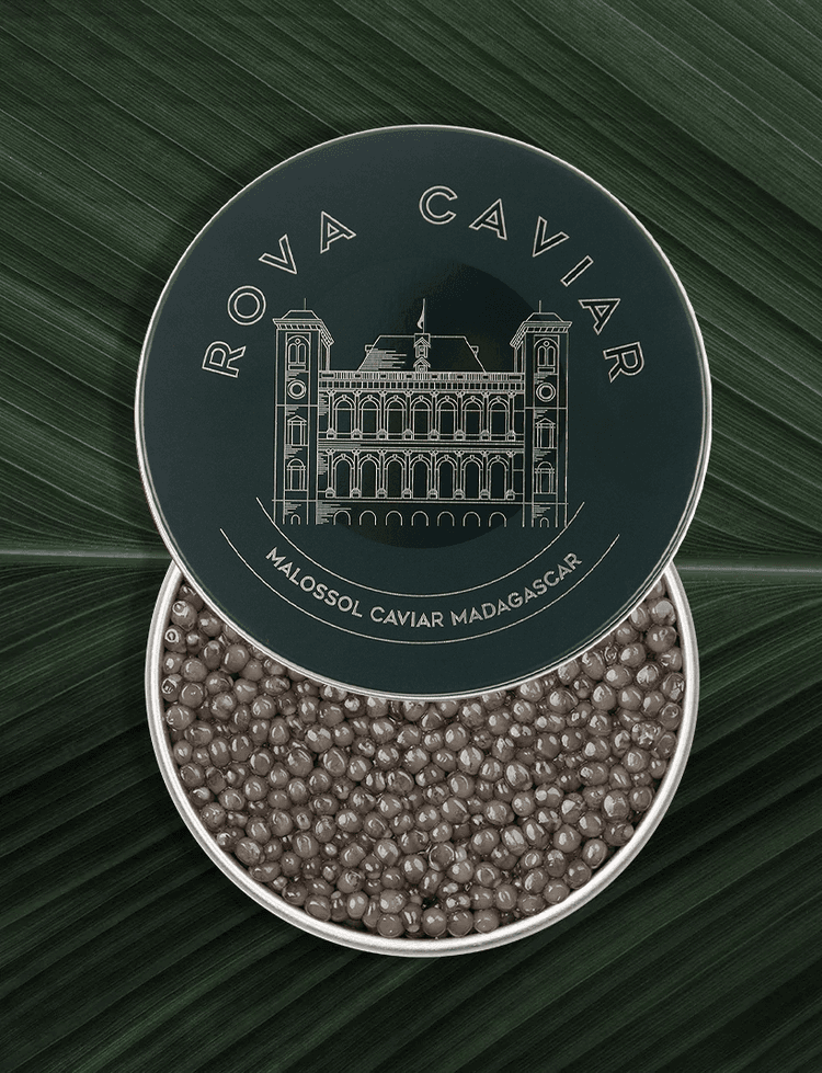 Open Ossetra Supreme Caviar Box with lid on natural background